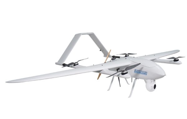 Avion VTOL 260- Baby Shark Model